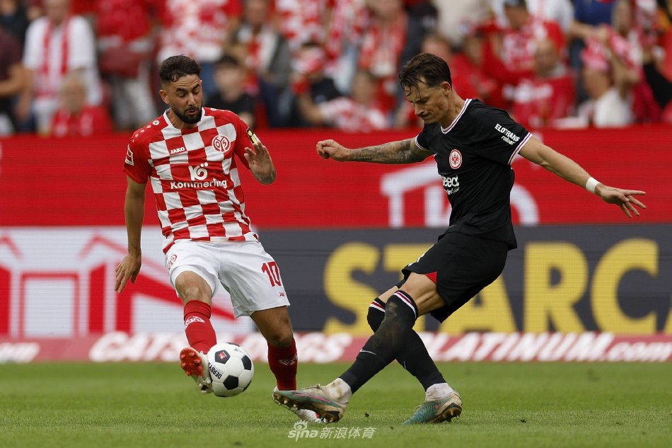 这一战术不 这一战术不